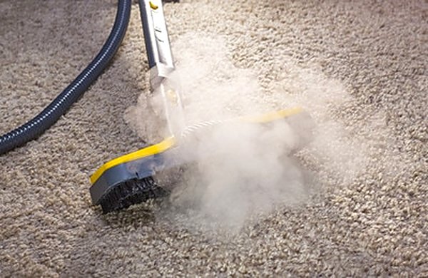 Residential carpet cleaning in Noblesville, IN